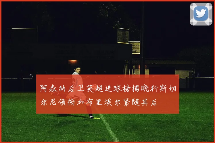 阿森纳后卫英超进球榜揭晓科斯切尔尼领衔加布里埃尔紧随其后