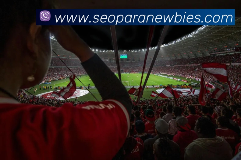 多终端兼容